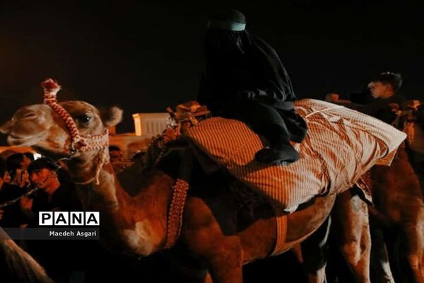عزاداری زائران و مجاوران حرم اهل بیت(ع) در قم