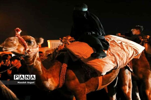 عزاداری زائران و مجاوران حرم اهل بیت(ع) در قم
