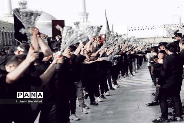 عزاداری زائران و مجاوران حرم اهل بیت(ع) در قم