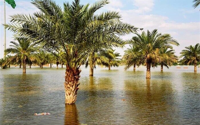 راهکار جلوگیری از سیل، آبخیزداری در بالادست و آبخوانداری در مناطق میانی