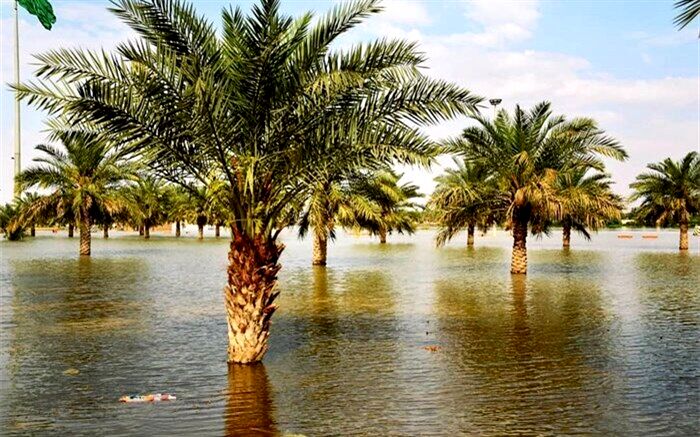 راهکار جلوگیری از سیل، آبخیزداری در بالادست و آبخوانداری در مناطق میانی