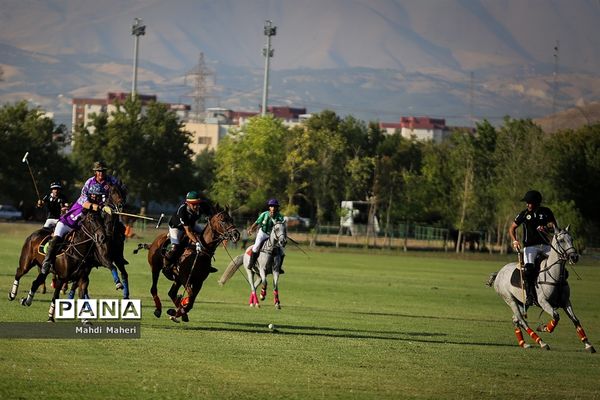 مسابقه چوگان آقایان جام مالکین