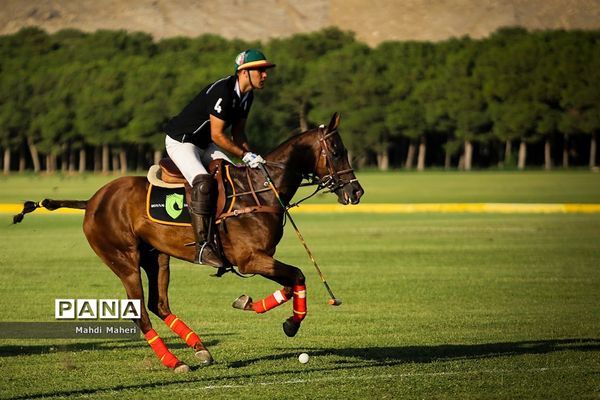 مسابقه چوگان آقایان جام مالکین