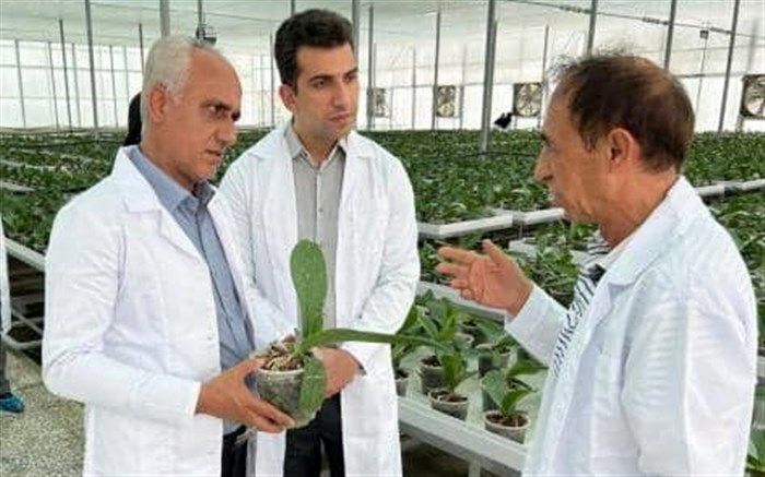 اعطای تسهیلات ویژه برای متقاضیان تاسیس گلخانه در روستا