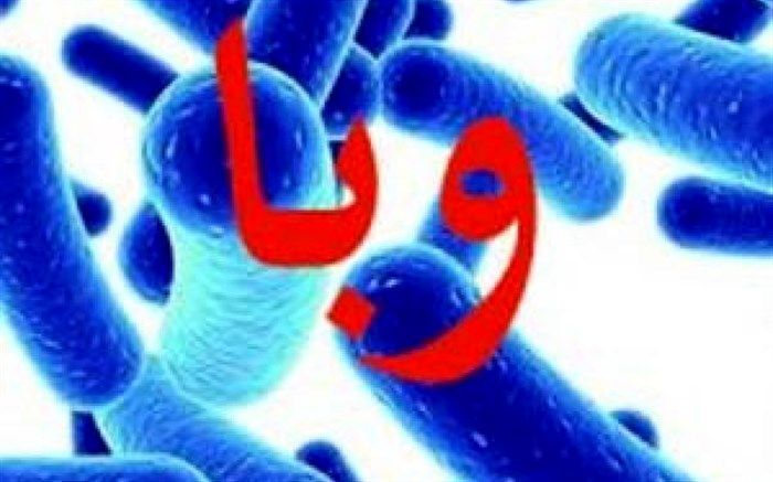 بیشتر افراد در معرض ابتلا به وبا  کودکان هستند