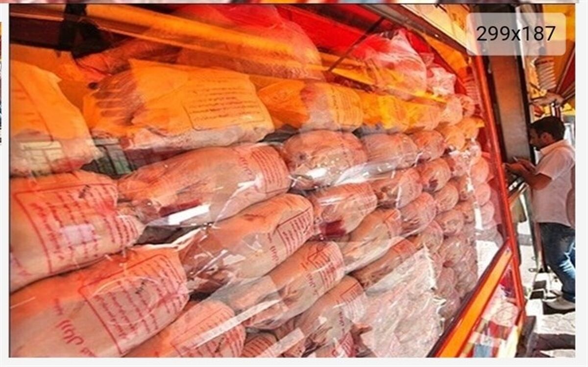 تولید ۳.۷ میلیون تن گوشت مرغ و تخم‌مرغ در سال جاری