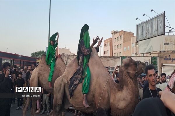 «کاروان اسرا» هیات دخیل العباس در قم-1