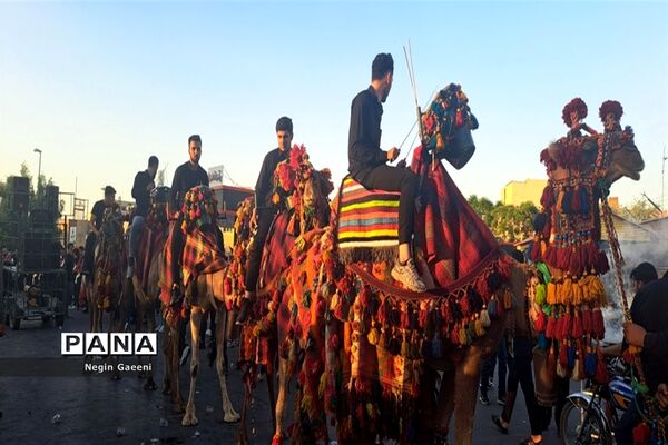 «کاروان اسرا» هیات دخیل العباس در قم-1