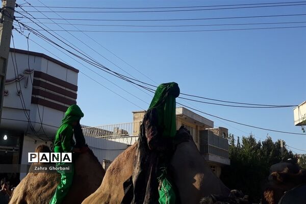 کاروان نمادین «اسرای کربلا» در قم-3