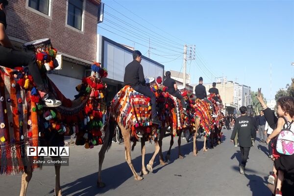 کاروان نمادین «اسرای کربلا» در قم-3