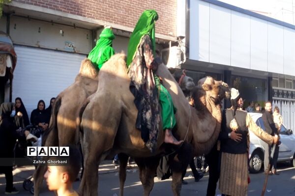 کاروان نمادین «اسرای کربلا» در قم-3