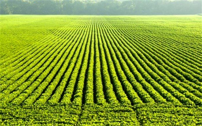 سنددار شدن اراضی کشاورزی تا پایان دولت سیزدهم