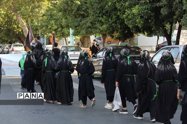 پیاده‌روی بزرگ هیات استقامت زینبی شهرستان بابل
