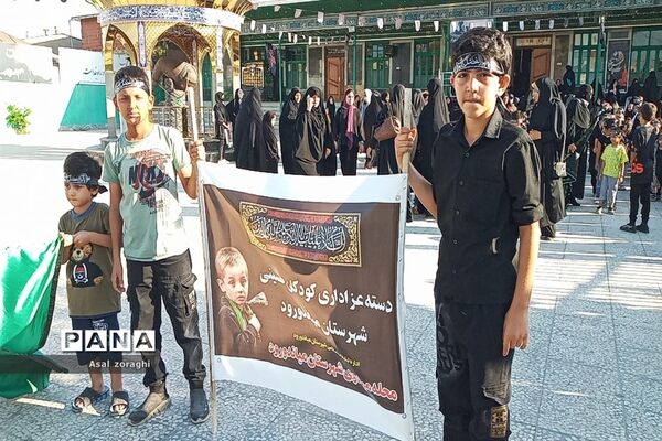 همایش لبیک یا زینب در شهرستان میاندورود