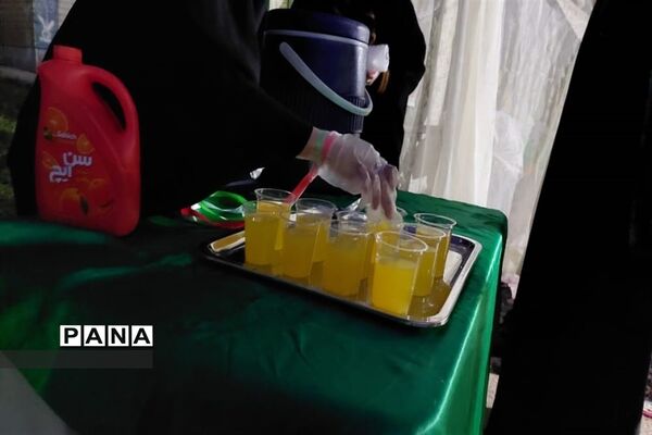 حضور اعضای دختر سازمان دانش‌آموزی البرز در اردوی قطبی دماوند