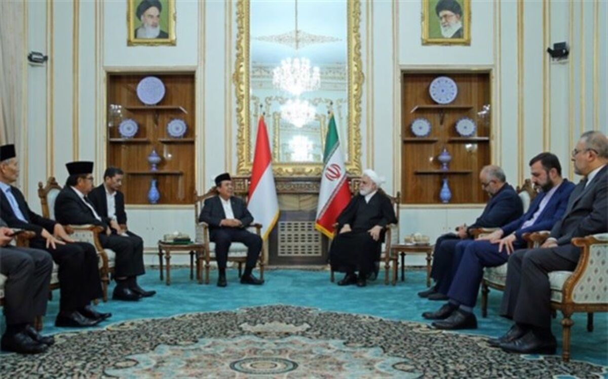 تاکید رئیس دستگاه قضا بر ضرورت توسعه دیپلماسی قضایی میان ایران و اندونزی