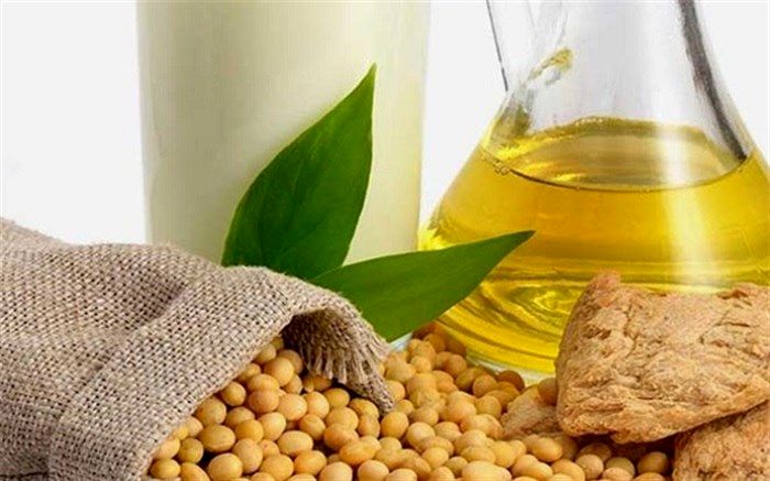 هر آنچه باید درباره روغن سویا بدانید