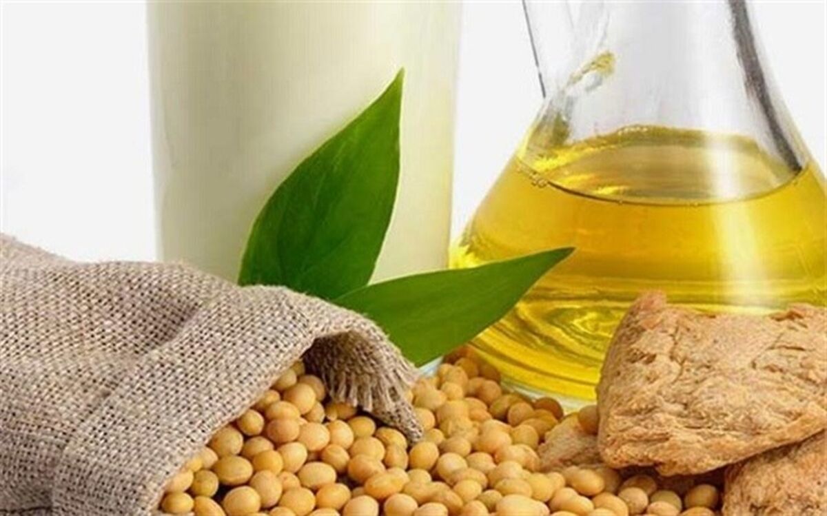 هر آنچه باید درباره روغن سویا بدانید
