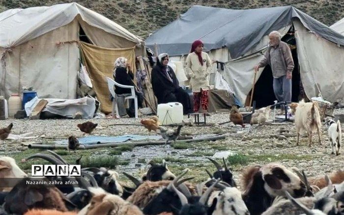 برخورداری عشایر کشور از برق شبکه‌ای و خورشیدی تا دو سال آینده