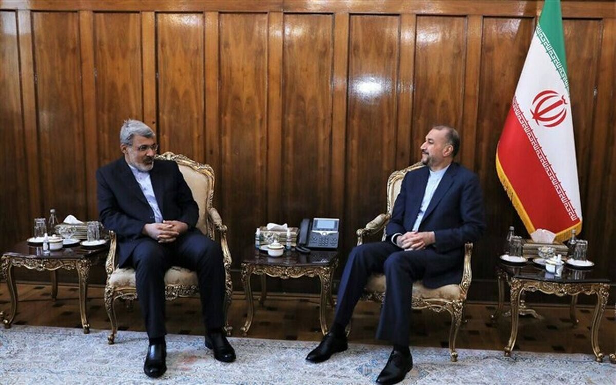 نماینده دائم ایران در ژنو با امیرعبداللهیان دیدار کرد