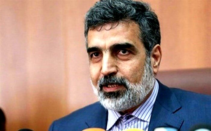 ‌آژانس نباید بر مبنای اسناد ساختگی رژیم صهیونیستی اعلام نظر کند