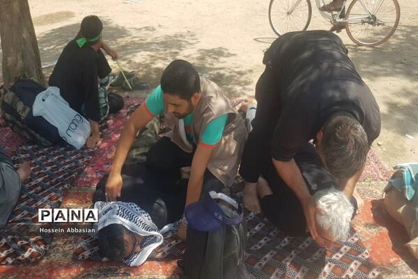 برپایی موکب‌های خدماتی کشورهای مختلف در مسیر نجف به کربلا