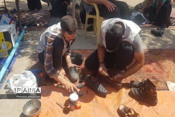 برپایی موکب‌های خدماتی کشورهای مختلف در مسیر نجف به کربلا
