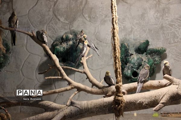 باغ پرندگان شهر مشهد