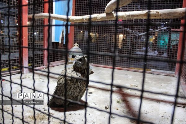 باغ پرندگان شهر مشهد