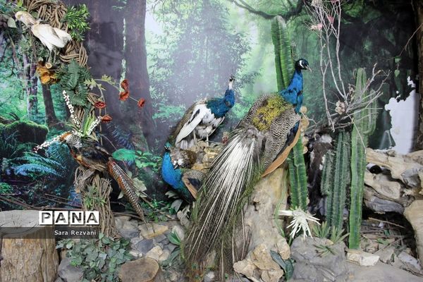 باغ پرندگان شهر مشهد