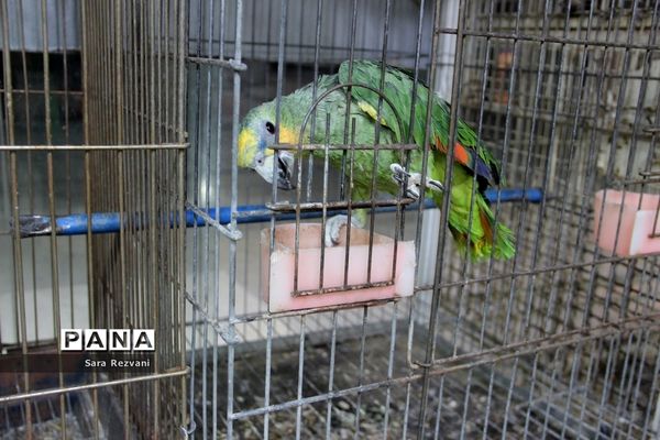 باغ پرندگان شهر مشهد