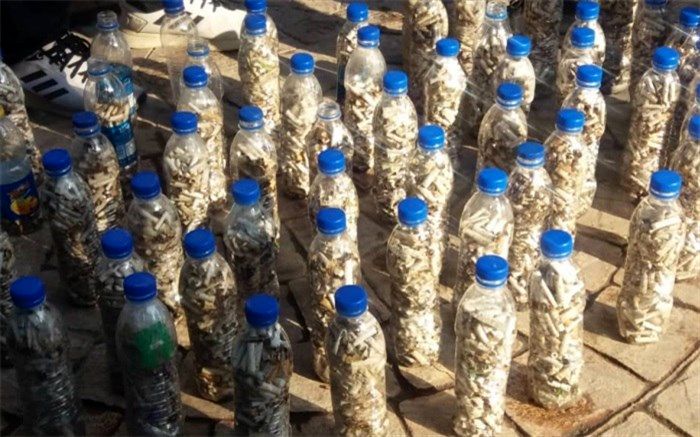 پاکسازی بوستان قیطریه همزمان با  روز جهانی پاک‌سازی زمین