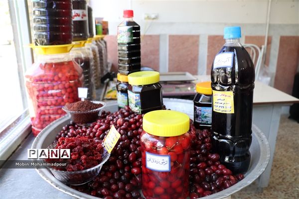 یاقوت ناب کلیبر از تولید تا فرآوری