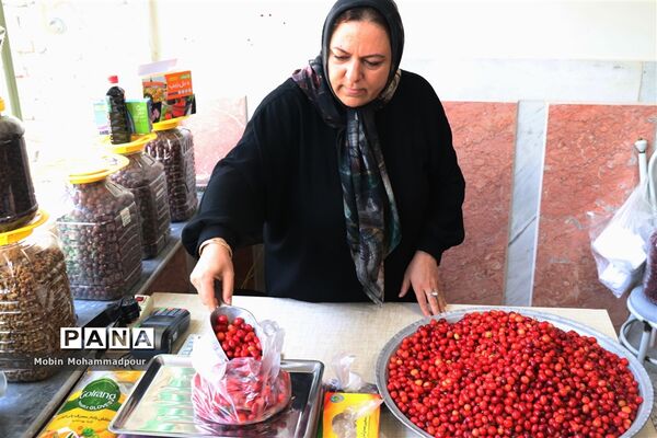 یاقوت ناب کلیبر از تولید تا فرآوری