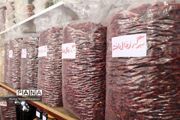 یاقوت ناب کلیبر از تولید تا فرآوری