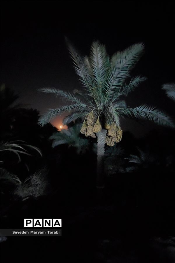 در مسیر بهشت، از مرز تا نجف