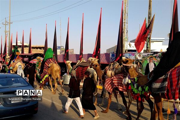 در مسیر بهشت، از مرز تا نجف