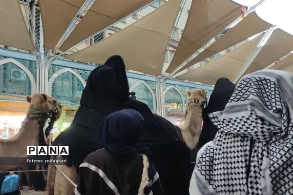 حال و هوای کربلای معلی در ایام اربعین حسینی