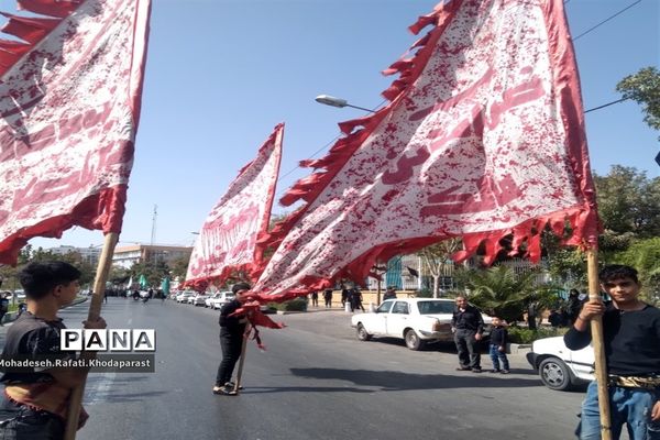 عزاداری در ساحت مقدس امام رضا(ع)
