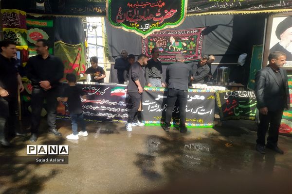 راهپیمایی جاماندگان اربعین حسینی در شهرستان اقلید استان فارس