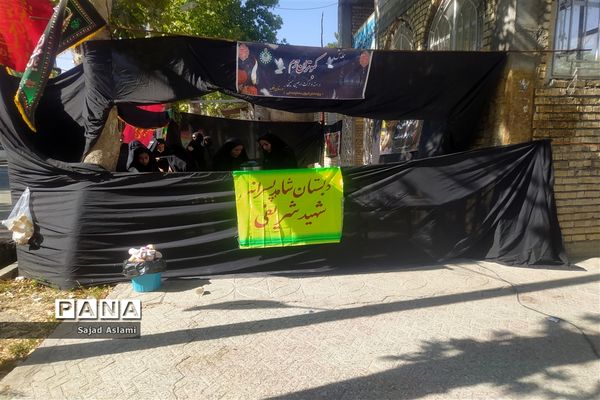 راهپیمایی جاماندگان اربعین حسینی در شهرستان اقلید استان فارس