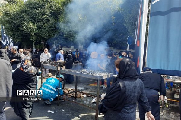 پیاده‌روی اربعین حسینی در جوار حرم مطهر رضوی