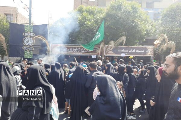 پیاده‌روی اربعین حسینی در جوار حرم مطهر رضوی