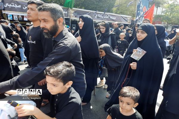 پیاده‌روی اربعین حسینی در جوار حرم مطهر رضوی