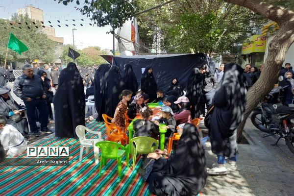 پیاده‌روی اربعین حسینی در جوار حرم مطهر رضوی