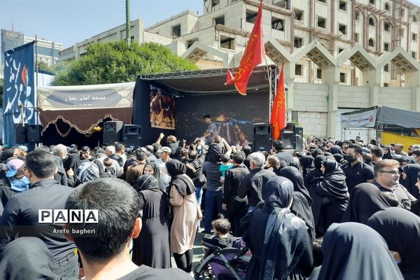 پیاده‌روی اربعین حسینی در جوار حرم مطهر رضوی