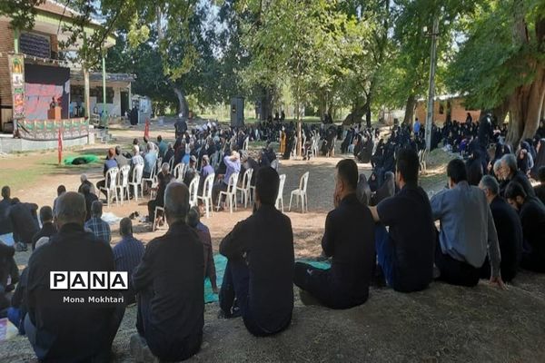 مراسم راهپیمایی جاماندگان اربعین در روستای دارابکلا میاندورود