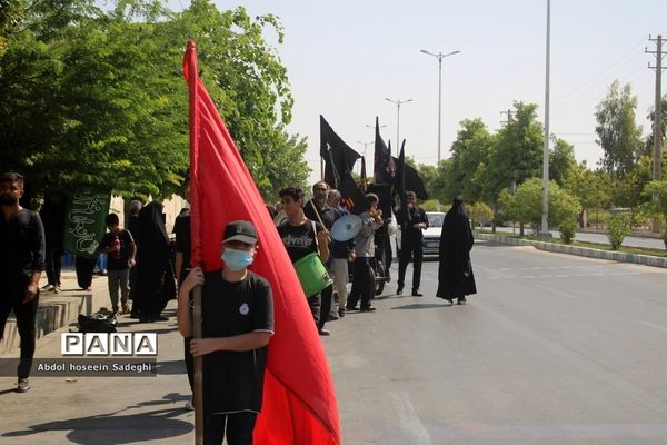 پیاده‌روی دلدادگان اربعین حسینی در بوشهر