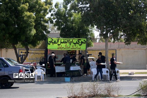 پیاده‌روی دلدادگان اربعین حسینی در بوشهر