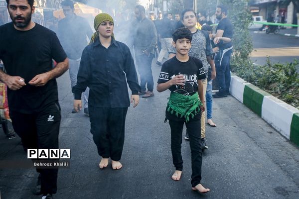 پیاده‌روی جاماندگان اربعین-تهران /2